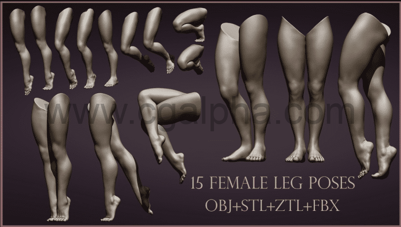 15 个女性腿部姿势模型资产 female leg poses