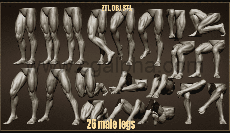 26 组男腿姿势3D模型 26 Male leg poses 3D models ZTL+OBJ+STL