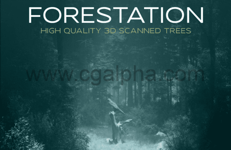 Blender插件 –  高质量3D扫描树木 Forestation – High Quality 3d Scanned Trees