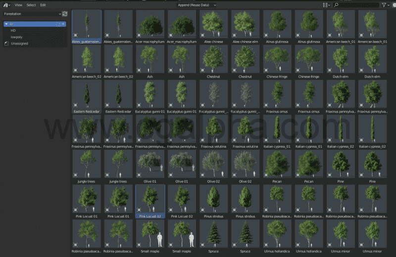 Blender插件 –  高质量3D扫描树木 Forestation – High Quality 3d Scanned Trees