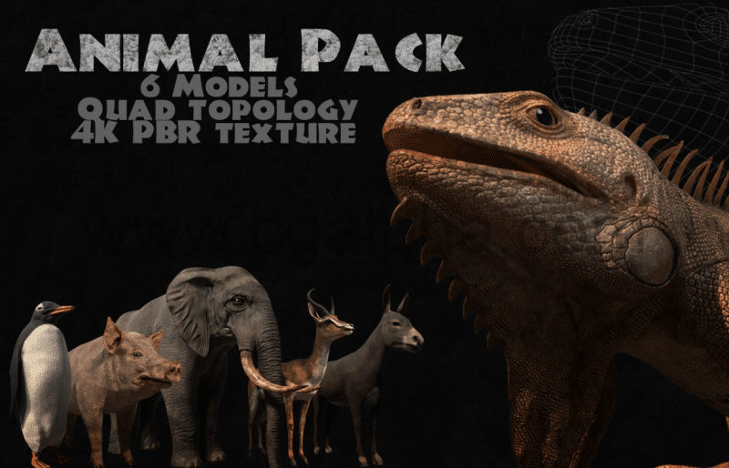 动物模型资产 Animal Pack