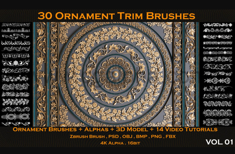 30 个装饰笔刷3D模型  30 Ornament Trim Brushes