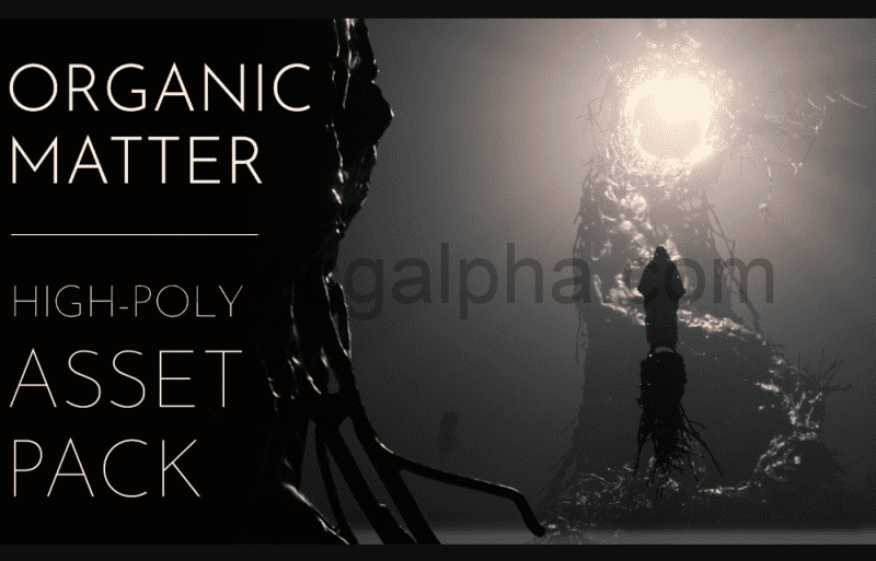 高质量资产模型 Organic Matter High-Poly Assets Kitbash