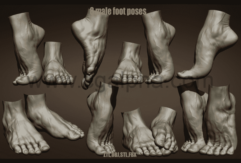 模型资产 – 8 种男性脚部姿势模型 8 Male foot poses