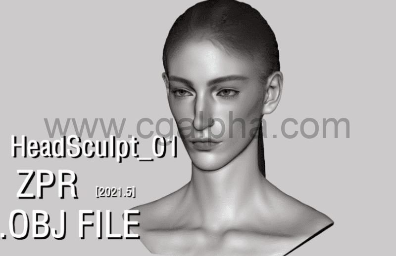 模型资产 – 女性头部雕刻模型 HeadSculpt veryVeryCool