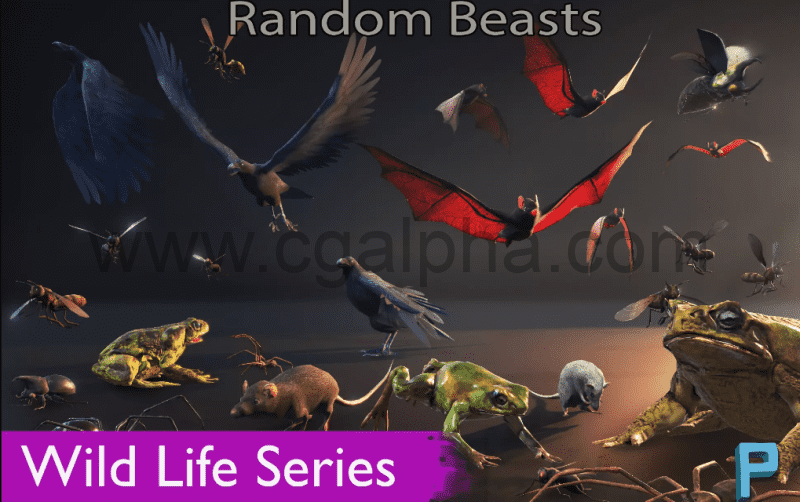 Unity – 野生动物 Wild Life – Random Beasts