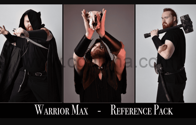 110 张奇幻战士巫师动态参考图片 Warrior Max  Reference Pack