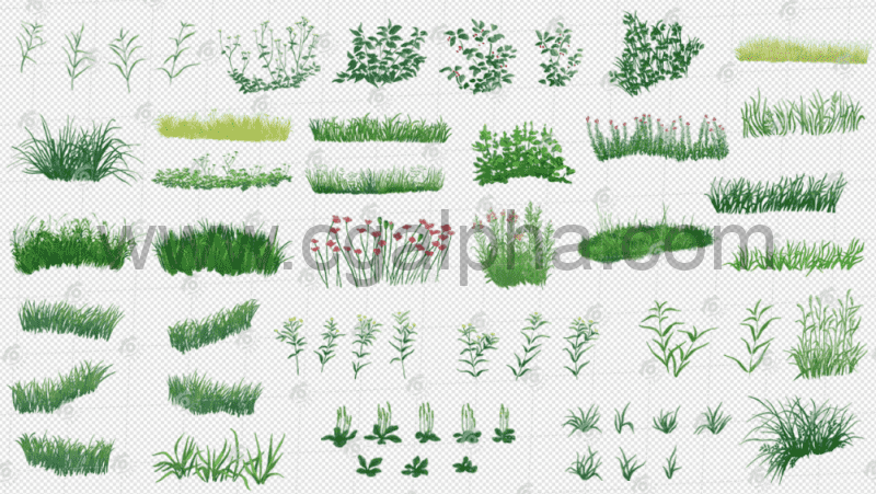 PS预设 – 传统和数字绘画包自定义野生花草形状 SPRING WILD HERBS CUTOUT