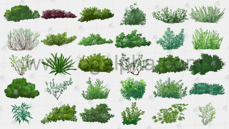 PS预设 – 树叶灌木剪影 LEAFY BUSHES CUTOUT