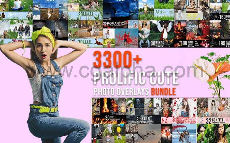 3300 种图片素材 InkyDeals – 3300+ Prolific Overlays Bundle
