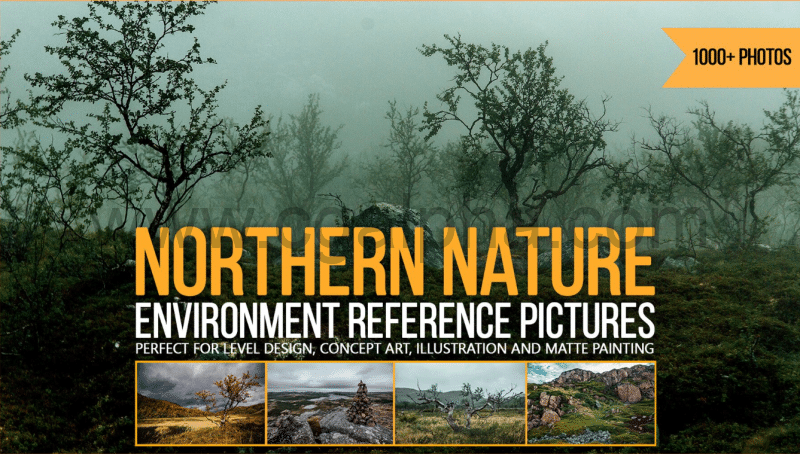 1000 张北方​​自然环境参考图片  Northern Nature Environment Reference Pictures