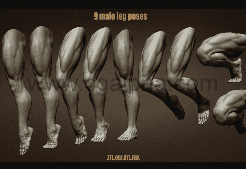 模型资产 – 男性腿部肌肉雕刻模型姿势 9 Male leg poses