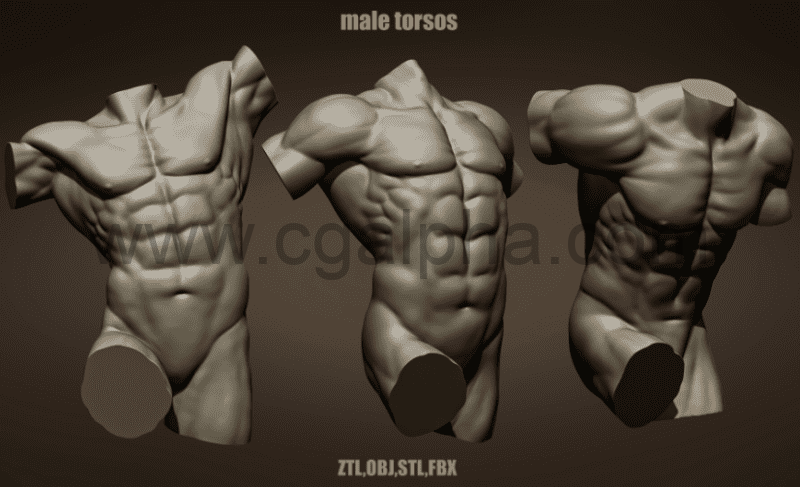 模型资产 – 男性躯干姿势模型 3 Male torso poses