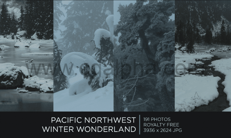 191 张太平洋西北冬季仙境 PACIFIC NORTHWEST WINTER WONDERLAND | PHOTOPACK