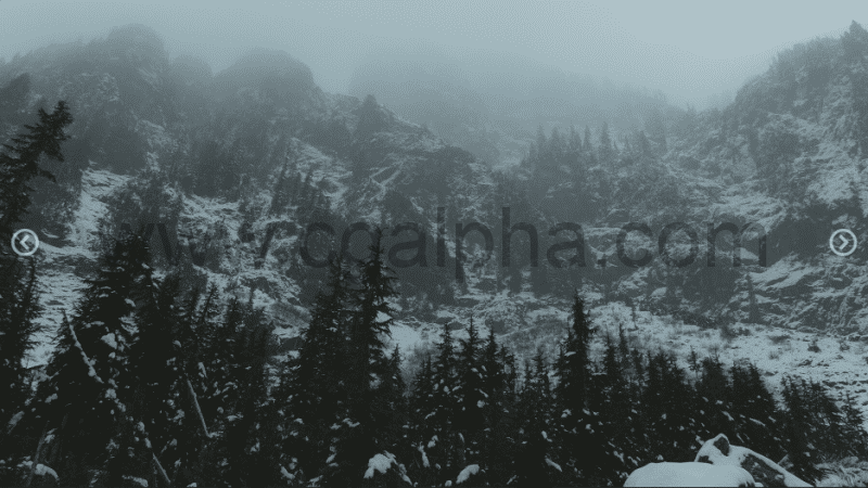 191 张太平洋西北冬季仙境 PACIFIC NORTHWEST WINTER WONDERLAND | PHOTOPACK