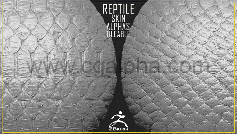 爬行动物皮肤纹理贴图 Reptile Skin Alphas Tileable (ZBrush, 2K)