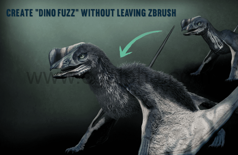 Zbrush笔刷 – 羽毛笔刷 Prehistoric Feathers and Fur IMM Brushes