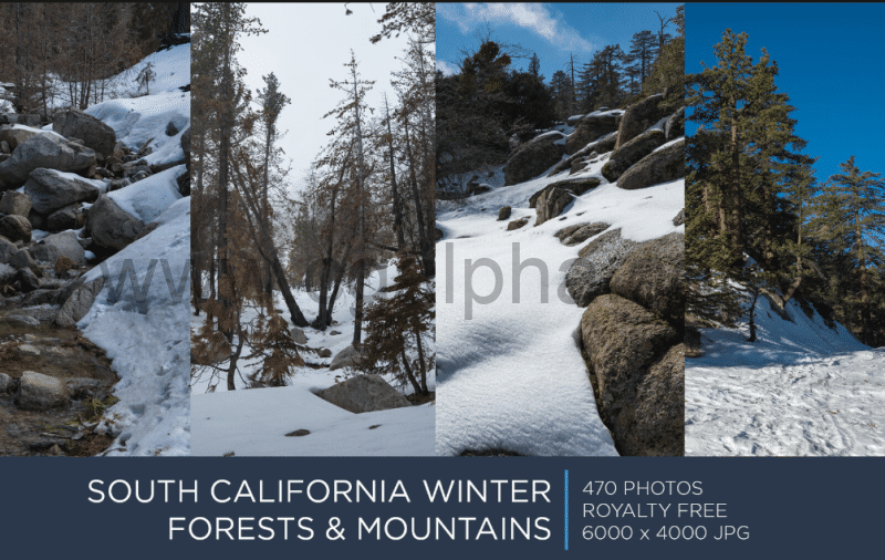 470 张雪山山脉参考照片 SAN BERNARDINO MOUNTAINS | PHOTOPACK