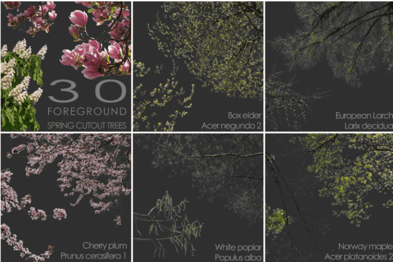 30 种前景树枝的蒙版 30 Spring Tree CUTOUTS of Foreground Branches in PNG_CGalpha