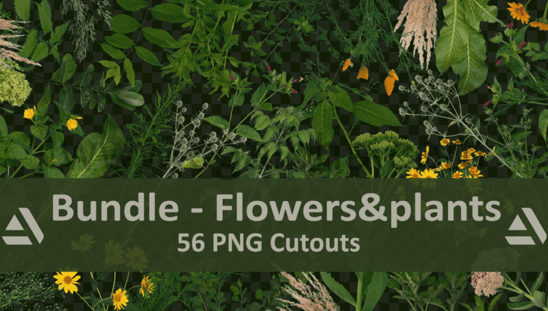 56 张花卉和植物素材参考照片 Flowers and plants