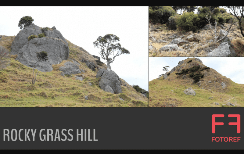 138 张岩石山坡参考照片 138 photos of Rocky Grass Hill