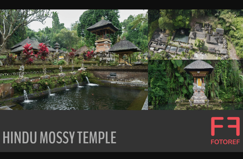 216 张印度寺庙参考照片 216 photos of Hindu Mossy Temple
